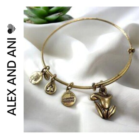 Alex and Ani Jewelry - Alex and Ani Sacred Garden Calla Lily Bangle Gold Finish Retired